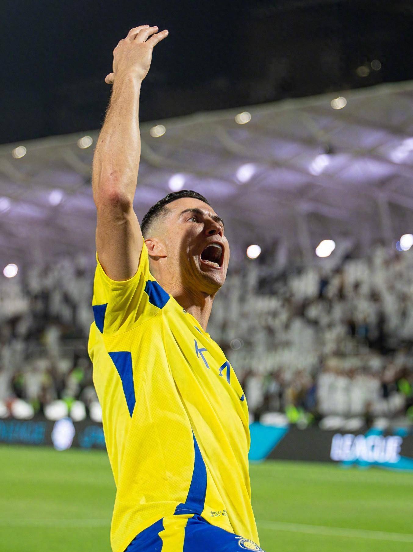 並不罕見 並不罕見